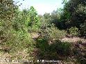 Agrandir l'image Coll Sesmoles - ES-GI-0615