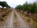 Cols de la province d'Almeria de Jacques Mancip