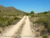 Collado del Puerto - ES-MU- 444 mtres