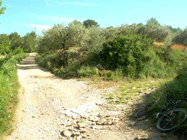 Agrandir l'image Embranchement sur le chemin du Col de Caque Renard