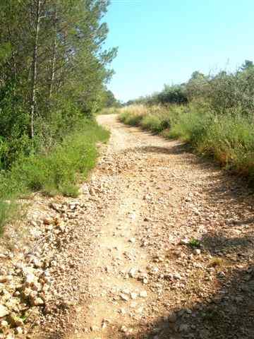 Agrandir l'image Chemin en direction du col de Caque Renard