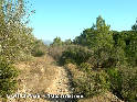 Agrandir l'image Coll d'Aus - ES-GI-0120