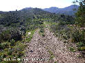 Agrandir l'image Coll de Grifeu - ES-GI-0095