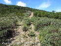 Agrandir l'image Coll de l'Abat - ES-GI-0395