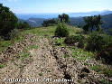Agrandir l'image Coll de l'Abat - ES-GI-0395
