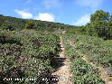 Agrandir l'image Coll de l'Abat - ES-GI-0395