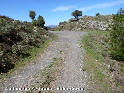 Coll de Les Artigues - ES-GI-0528