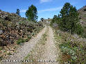 Coll de Les Artigues - ES-GI-0528