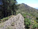 Agrandir l'image Coll de Sant Miquel - ES-GI-0545b