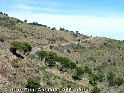 Coll de Tres Camins - ES-GI-0384