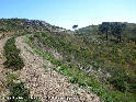 Agrandir l'image Coll del Llop - ES-GI-0395b