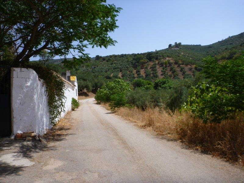 En direction du Collado de Pales