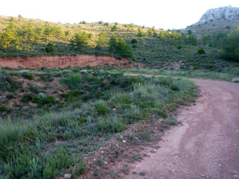 Agrandir l'image En direction du Collado de Peñacid