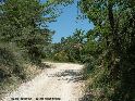 Col du Roux - FR-26-0630b