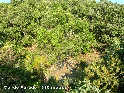 Agrandir l'image Col de Parade - FR-11-0310a