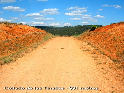 Collado de las Tinadas - ES-CU- 0989 mtres