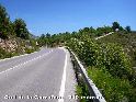 Coll de la Garrofera - ES-CS-0219a