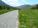 Col du Triby - FR-11-0344