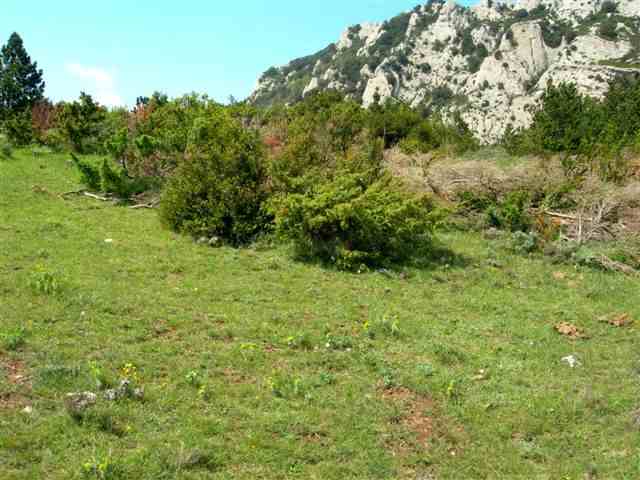 Monte au col du Quit