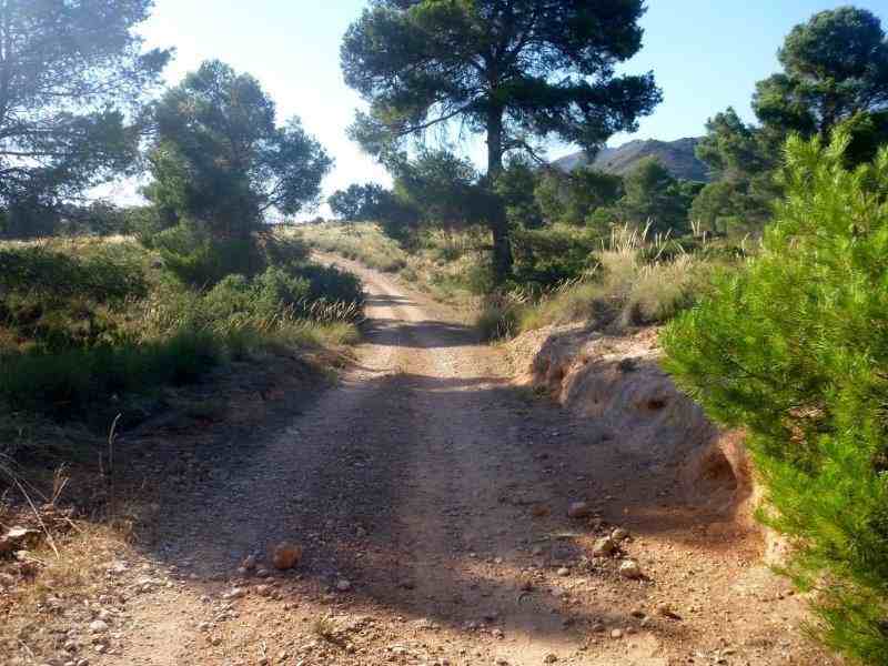 Agrandir l'image En direction du Collado de las Cuevas