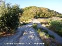 Cols de la province de Granada de Jacques Mancip