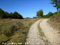 Col de Belbze - FR-09-0395