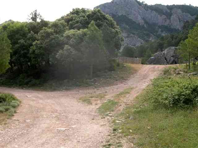 Agrandir l'image Embranchement sur la piste en direction du Coll Blanc (Els Ports)
