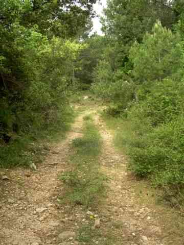 Agrandir l'image Chemin montant au Coll de Botana