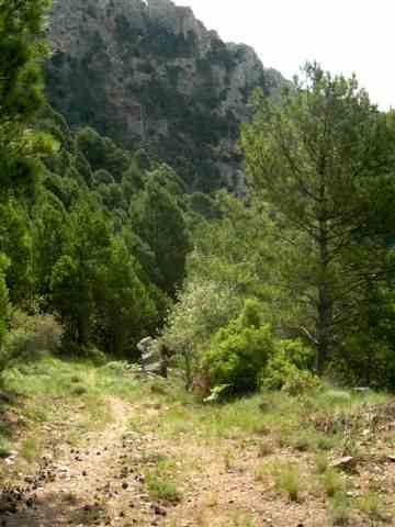 Agrandir l'image Sentier du Coll de Botana