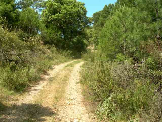 Agrandir l'image Chemin du Coll del Llop