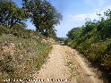 Agrandir l'image Coll de la Muntada - ES-GI-0060