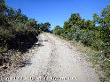 Coll de la Ribera - ES-GI-168 mtres