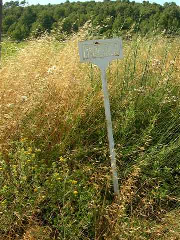 Agrandir l'image En direction du Collet de les Pereres
