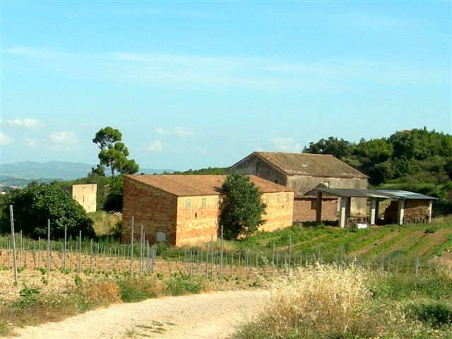 Agrandir l'image En direction du Collet de les Pereres