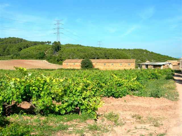 Agrandir l'image En direction du Collet de les Pereres