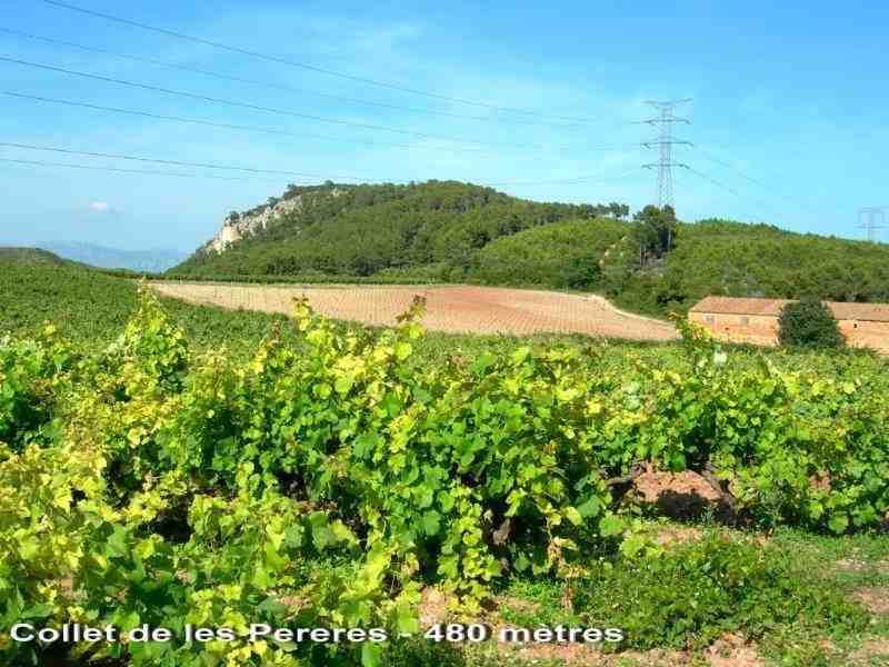Agrandir l'image En direction du Collet de les Pereres