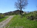 Col de la Fontasse - FR-34-0605a