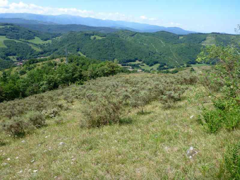 Agrandir l'image En direction du Col Jannot