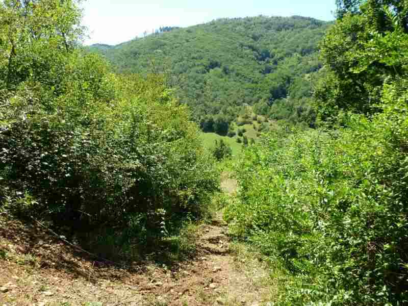Agrandir l'image En direction du Col d'Engaraud