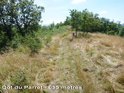 Col du Parret - F-09-0655