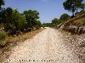 Collado de los Frailes - ES-MU-0694