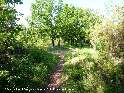 Col de Peyrolis - FR-34-0371