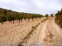 Collado del Lobo - ES-MU- 859 mtres