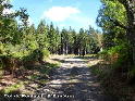 Col de Fontauji - FR-81-0840