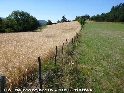 Col de Montjardin - FR-30-1005