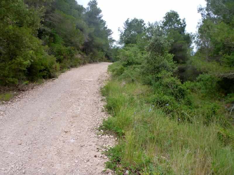 Agrandir l'image Lilla, en direction du Coll Vell
