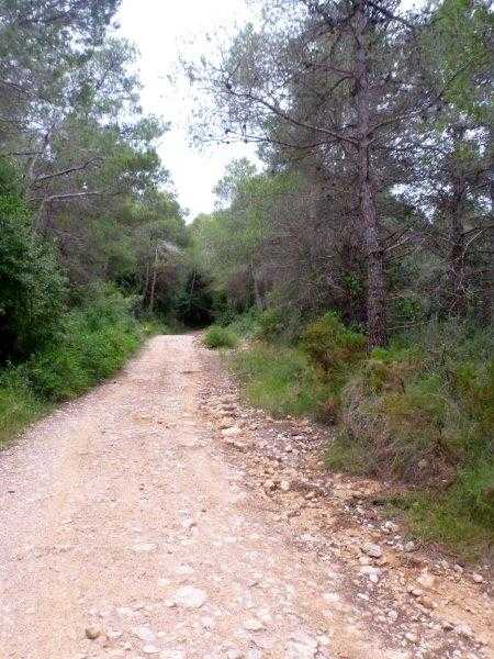Agrandir l'image Camí Vell de Tarragona a Montblanc