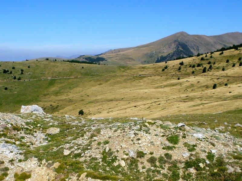 En direction du Collet de la Llosella