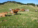 Coll de les Fonts de Bescaran - ES-L-2156