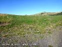 Coll de Queralt ou Collada de Baix - ES-L-2033